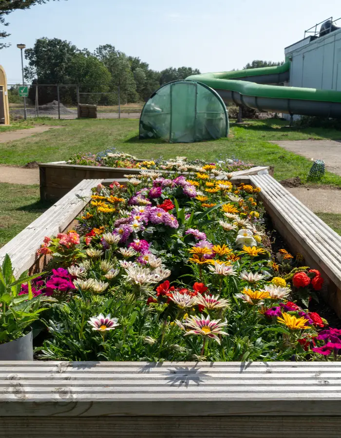A wooden flower bed, filled with colourful flowers.