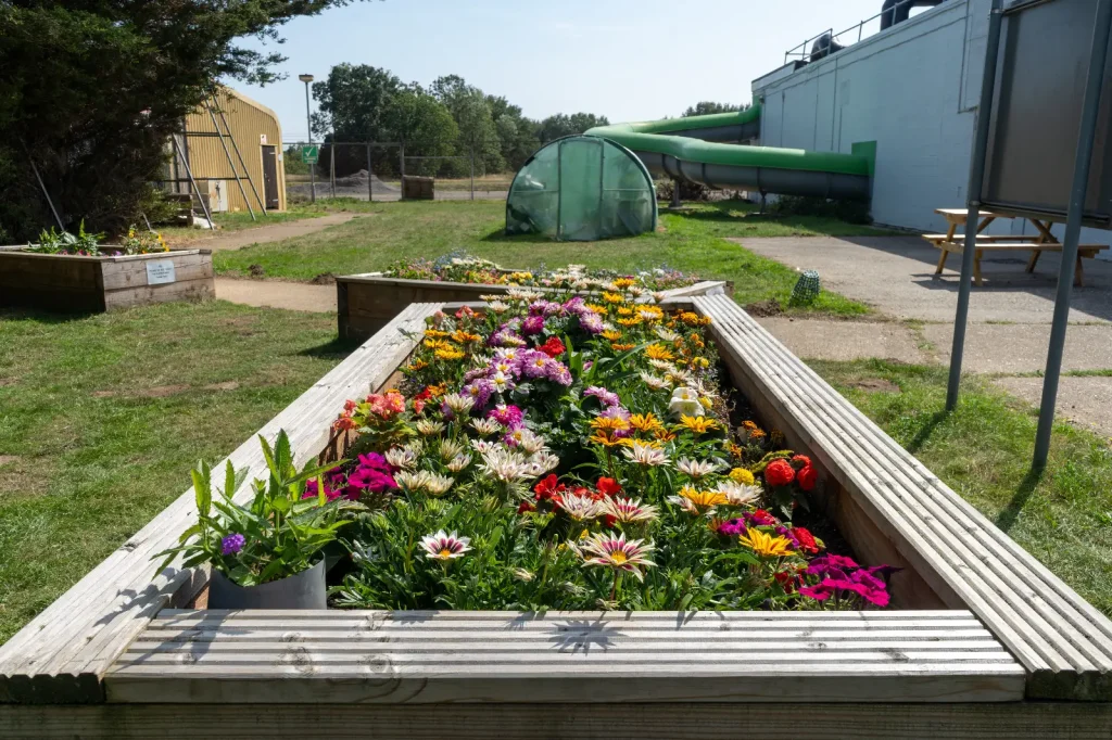 Colourful raised flower bed filled with mixed summer flowers at Belhus Park Community Garden